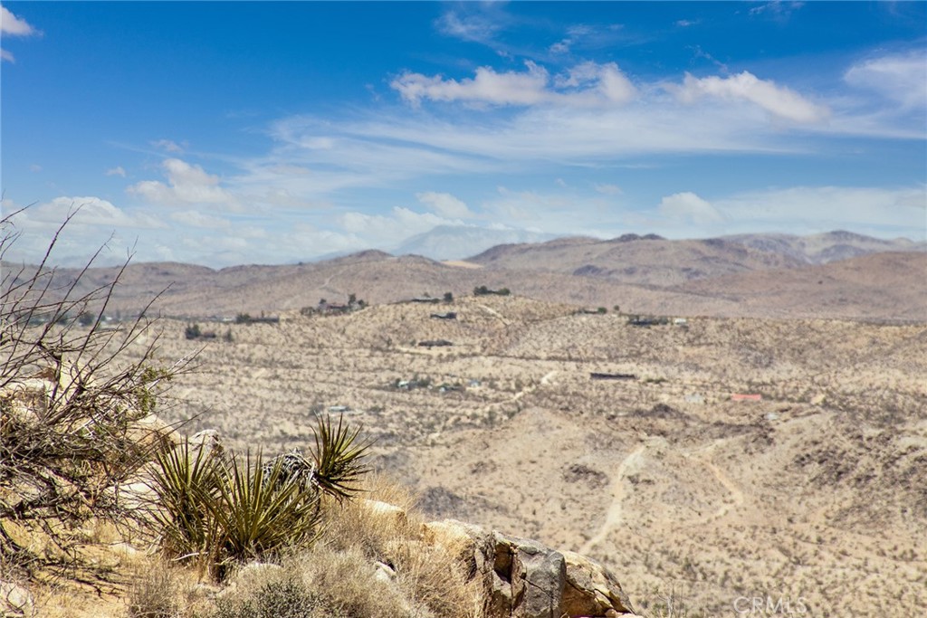 MLS #JT24214335 image #18