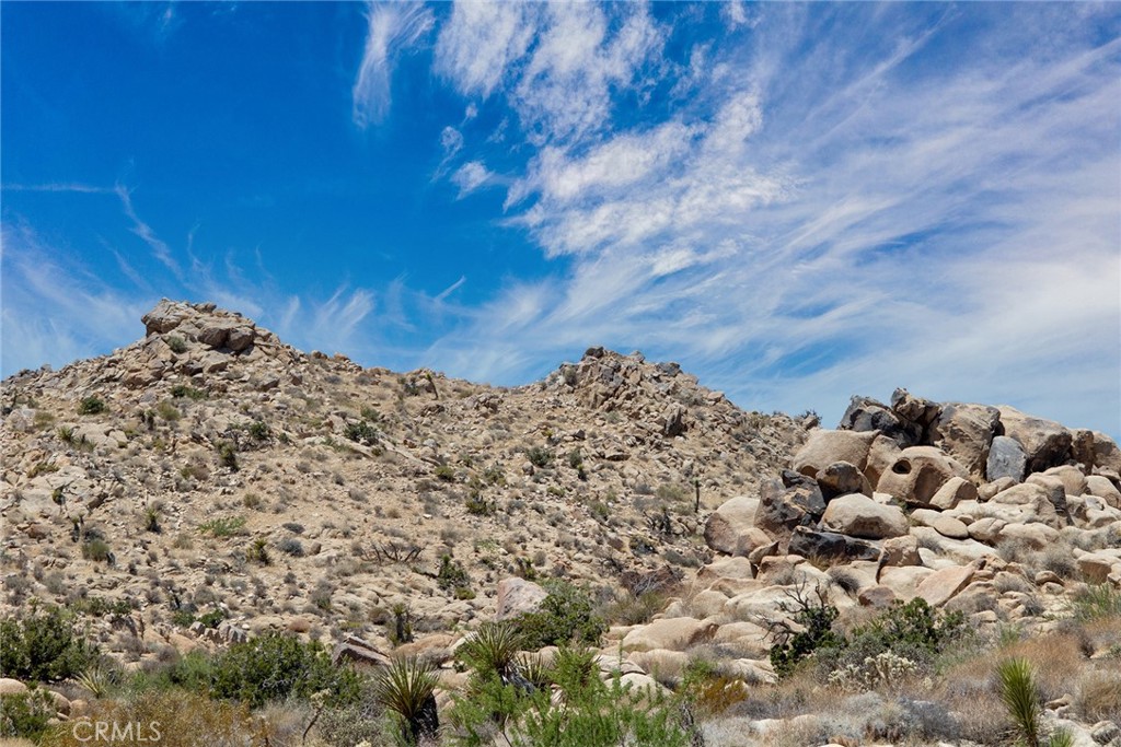 MLS #JT24214335 image #19