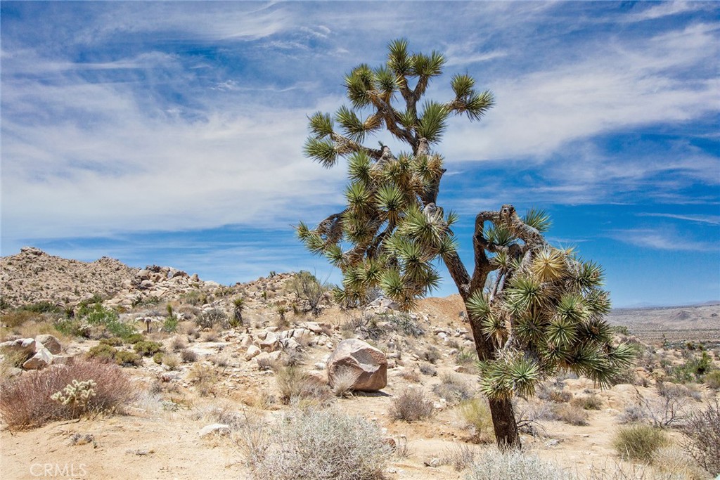 MLS #JT24214335 image #20