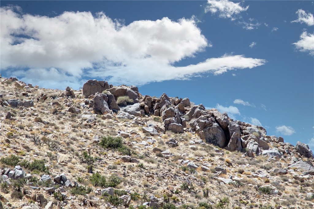 MLS #JT24214335 image #3