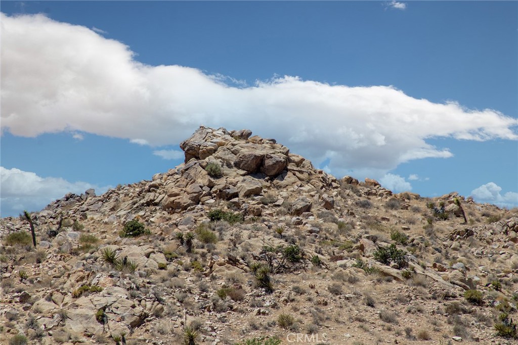 MLS #JT24214335 image #5