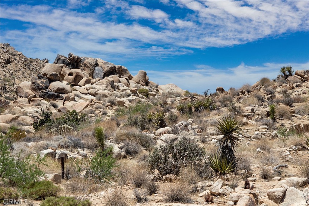 MLS #JT24214335 image #6