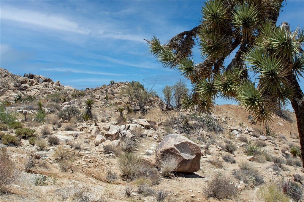 MLS #JT24214335 image #7