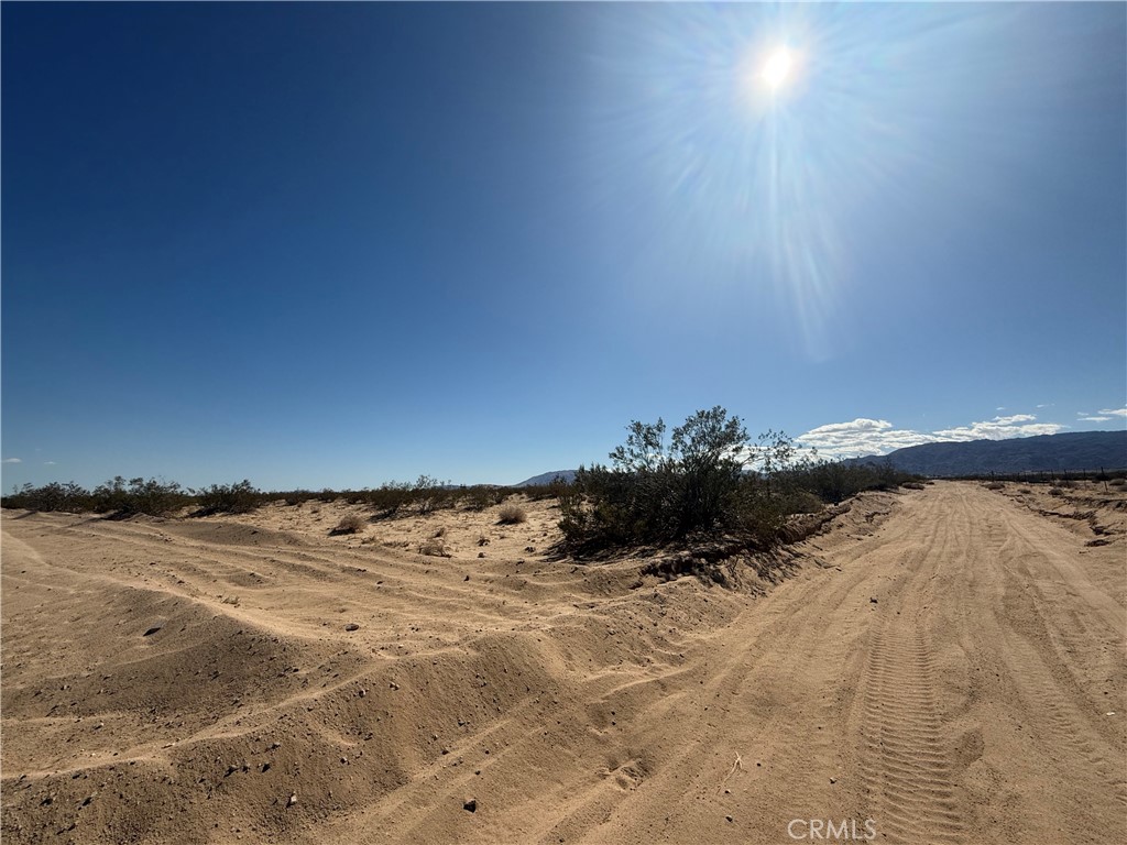 MLS #JT24215371 image #1