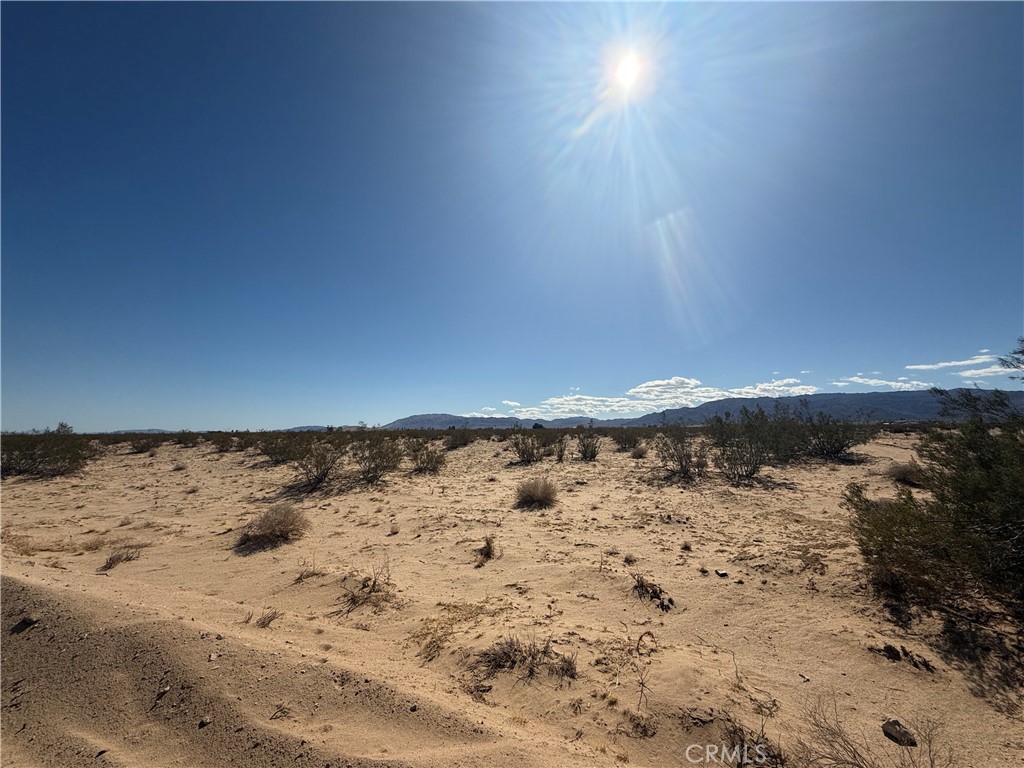 MLS #JT24215371 image #2