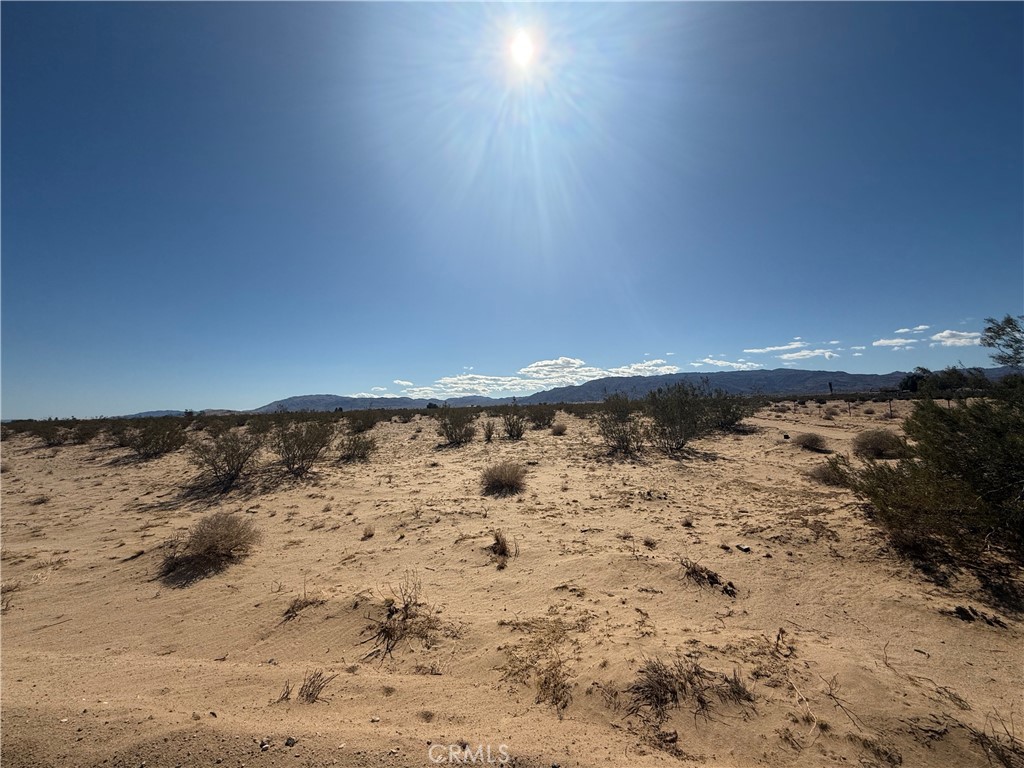 MLS #JT24215371 image #3