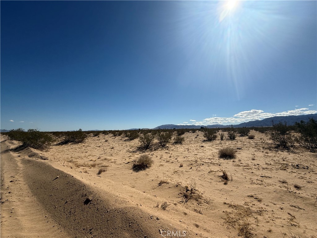 MLS #JT24215371 image #4