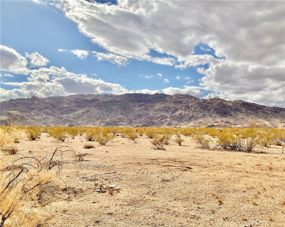 MLS #JT24223442 image #13