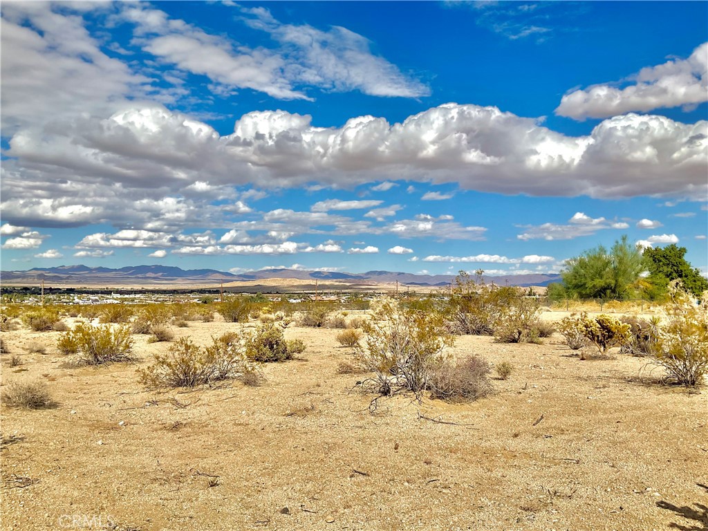 MLS #JT24223442 image #2