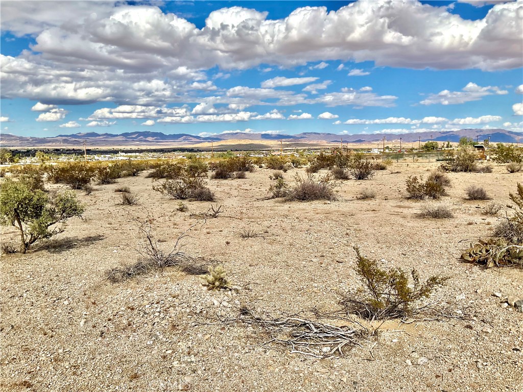 MLS #JT24223442 image #4