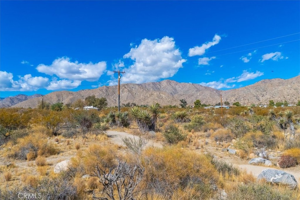 MLS #JT24224884 image #11