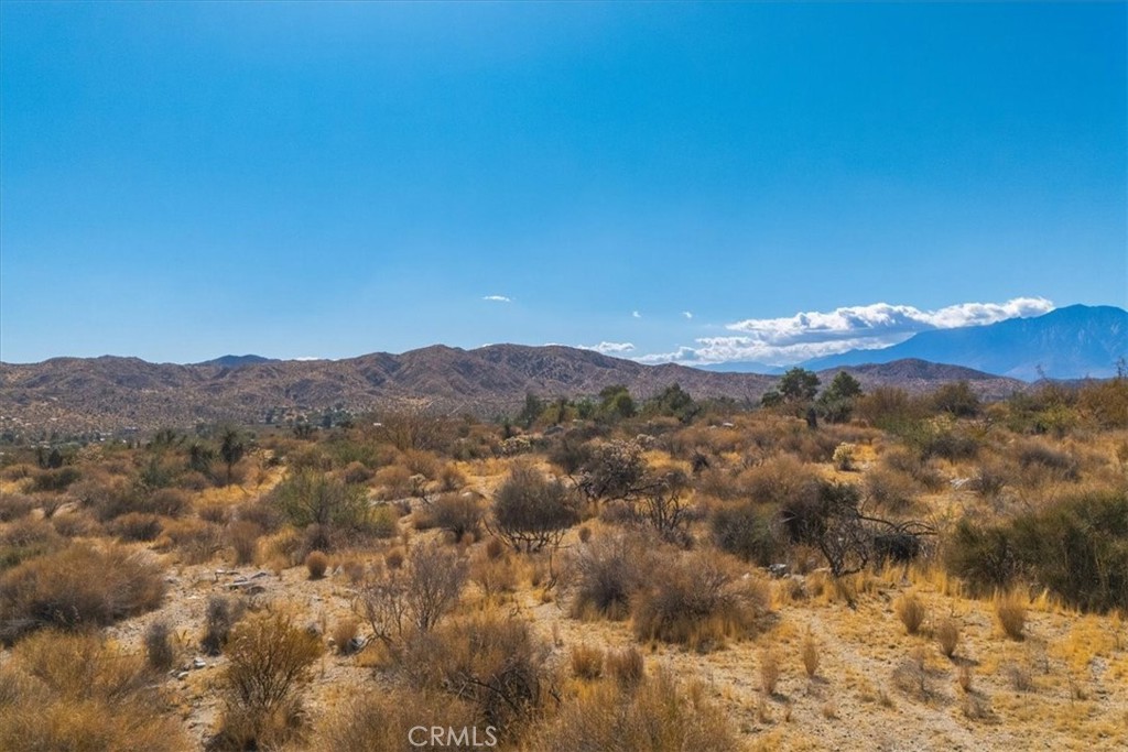 MLS #JT24224884 image #12