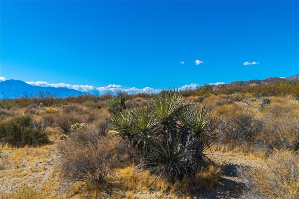 MLS #JT24224884 image #13