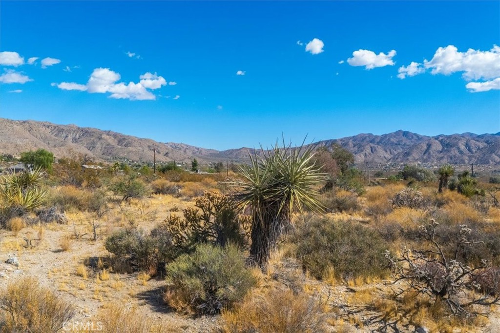 MLS #JT24224884 image #14