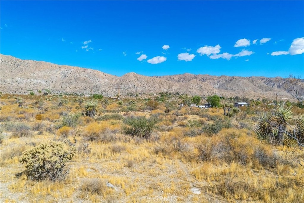 MLS #JT24224884 image #15