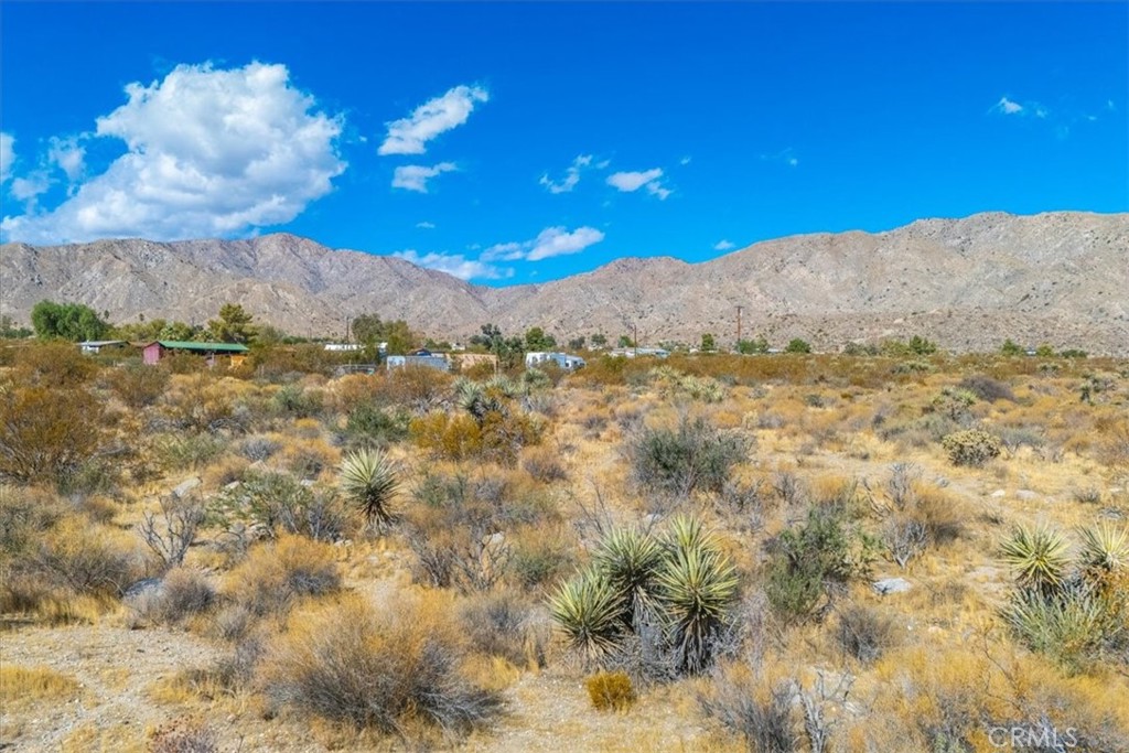 MLS #JT24224884 image #16