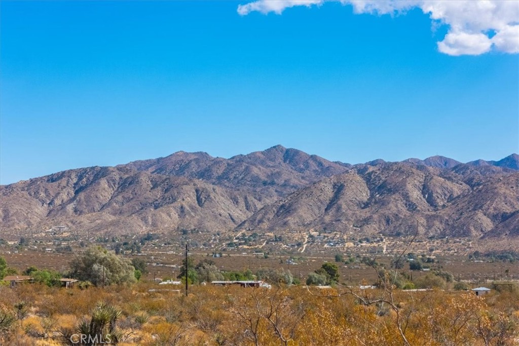 MLS #JT24224884 image #20