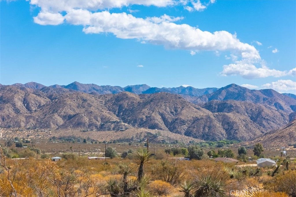 MLS #JT24224884 image #21