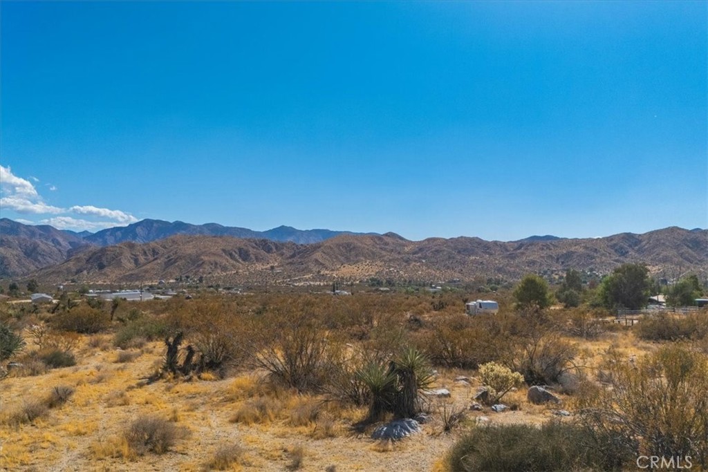 MLS #JT24224884 image #22