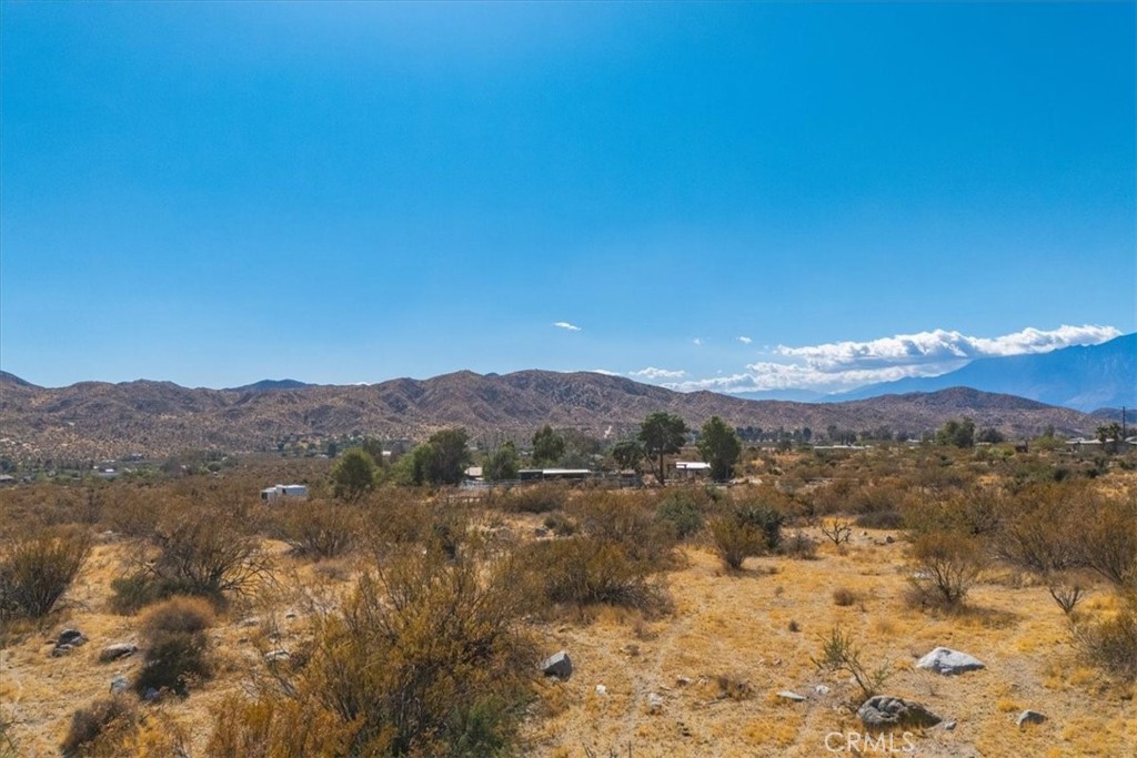 MLS #JT24224884 image #23