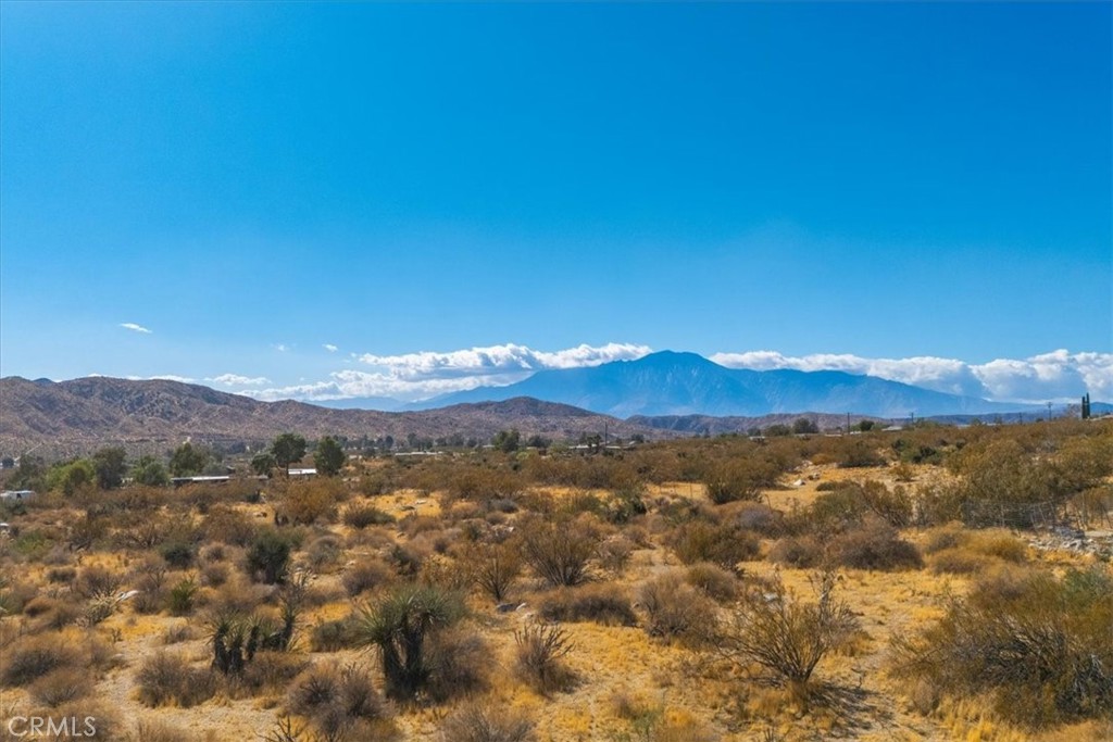 MLS #JT24224884 image #25