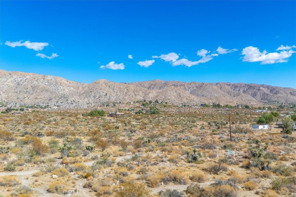 MLS #JT24224884 image #29