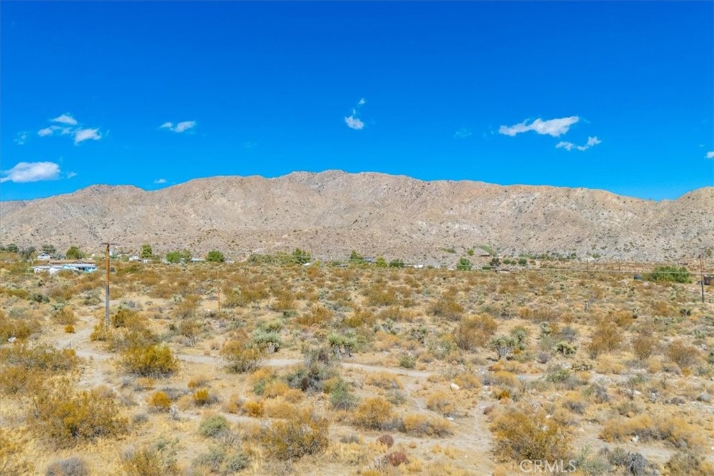 MLS #JT24224884 image #30