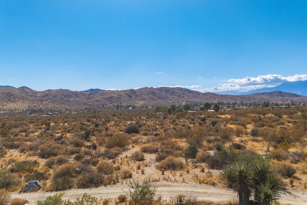 MLS #JT24224884 image #8