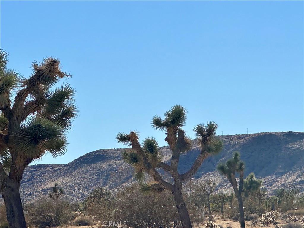 MLS #JT24229658 image #10