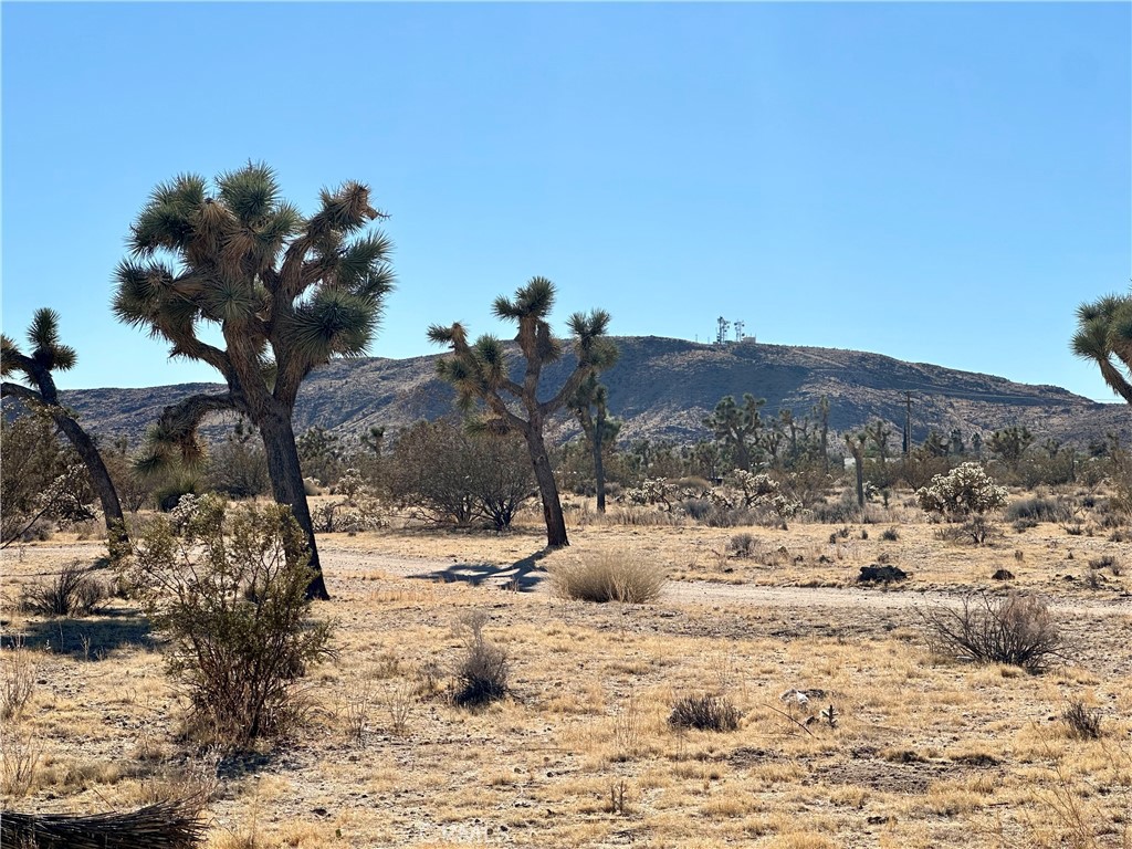 MLS #JT24229658 image #11