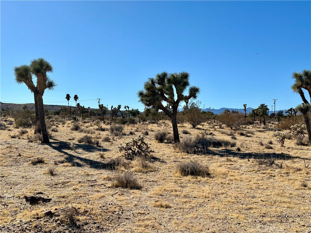 MLS #JT24229658 image #12