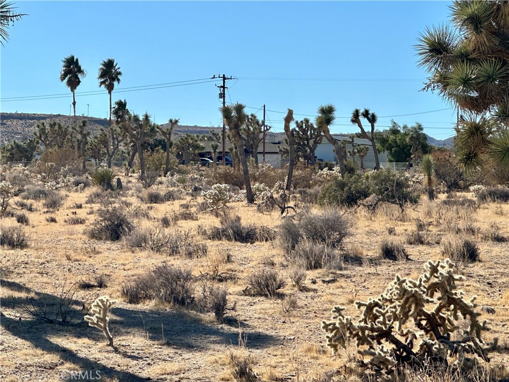 MLS #JT24229658 image #13