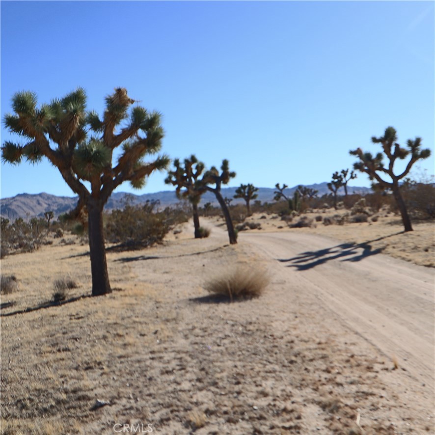 MLS #JT24229658 image #14