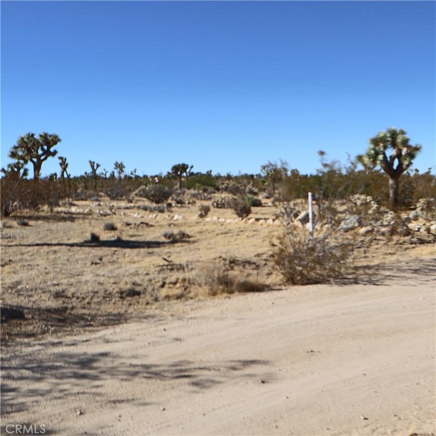 MLS #JT24229658 image #15