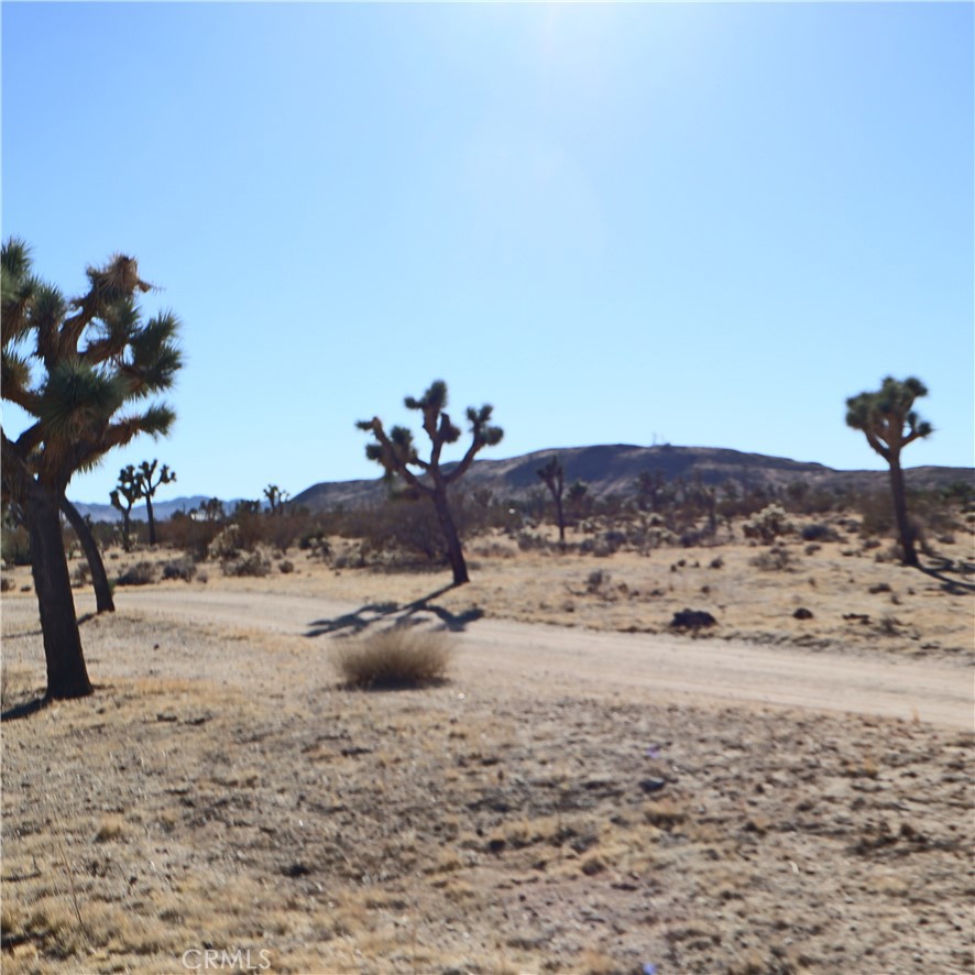 MLS #JT24229658 image #16