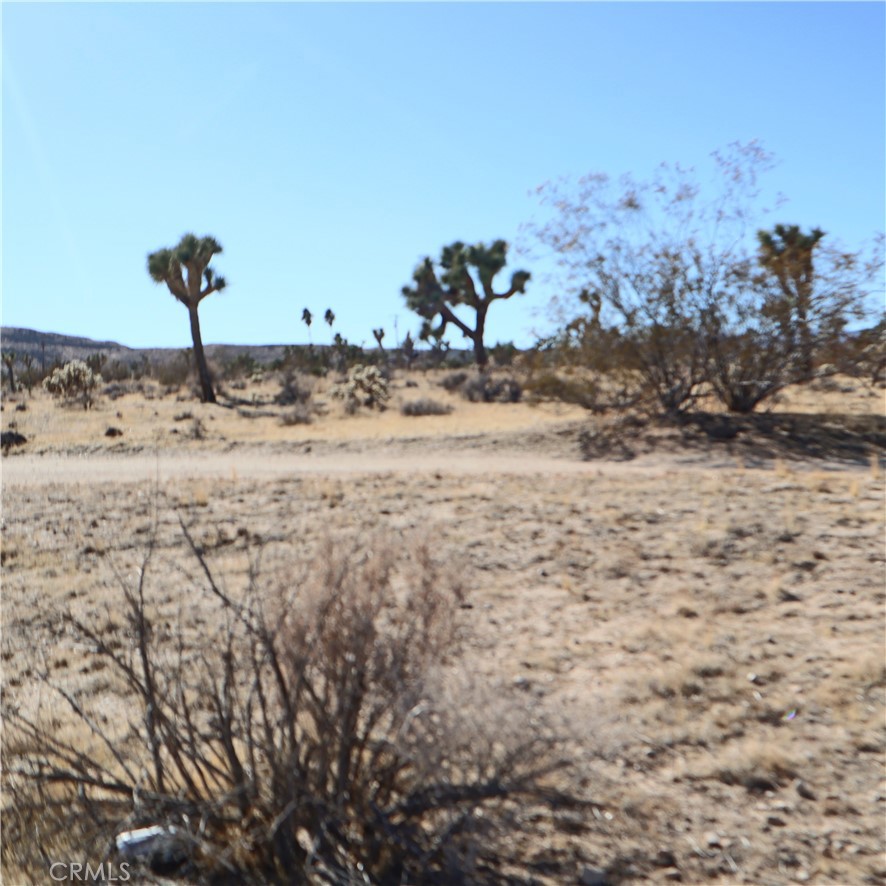 MLS #JT24229658 image #17