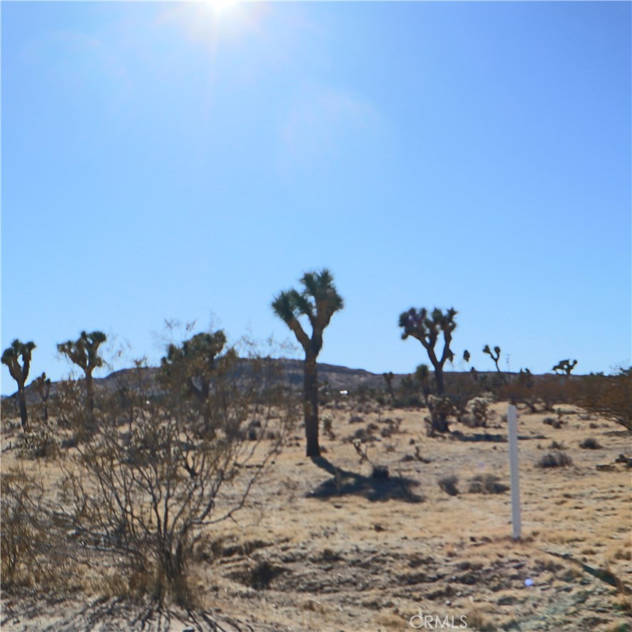 MLS #JT24229658 image #18