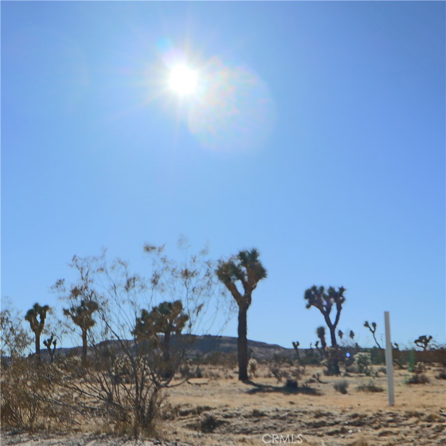 MLS #JT24229658 image #19