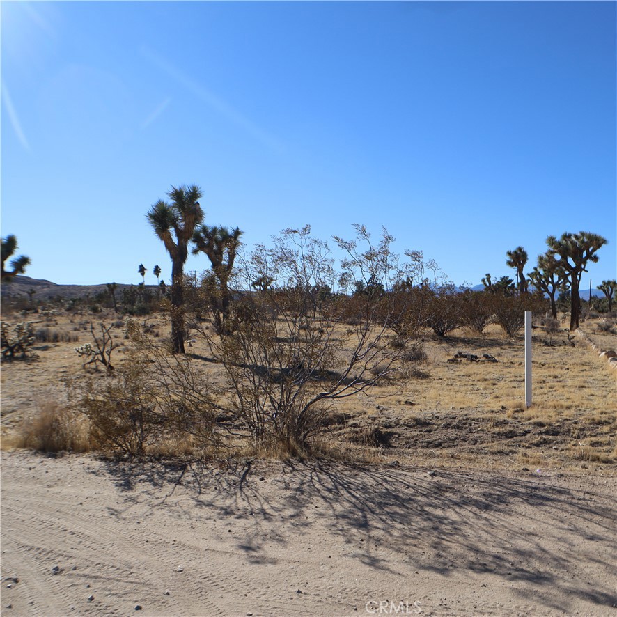 MLS #JT24229658 image #21