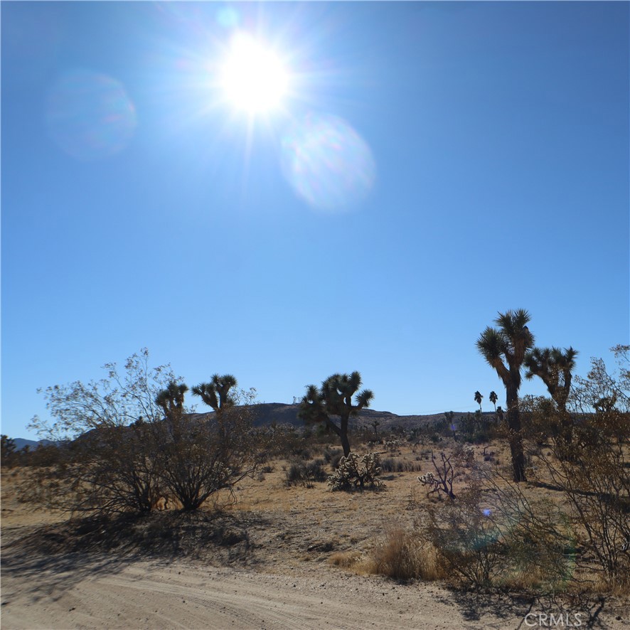 MLS #JT24229658 image #22