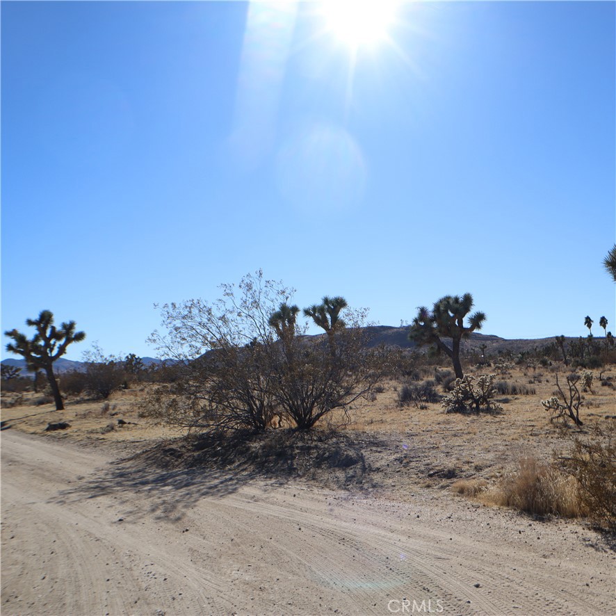 MLS #JT24229658 image #23