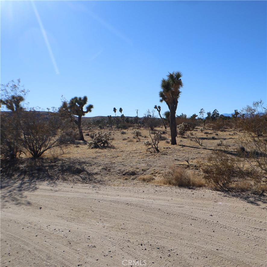 MLS #JT24229658 image #24