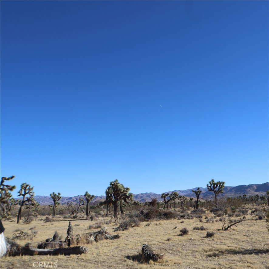 MLS #JT24229658 image #25