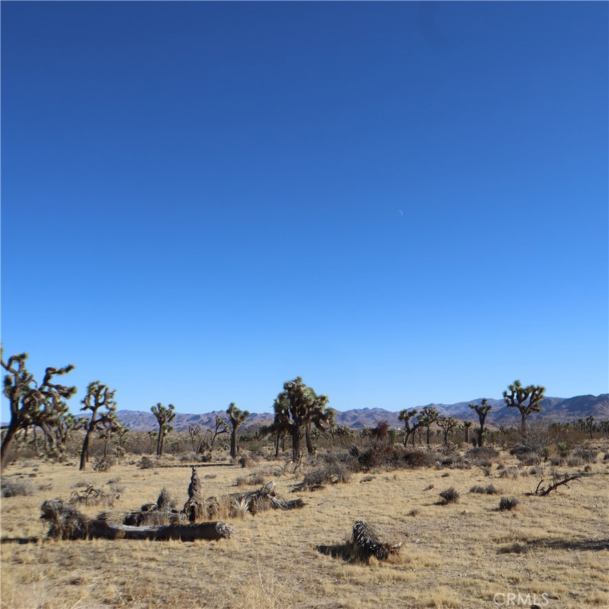 MLS #JT24229658 image #26