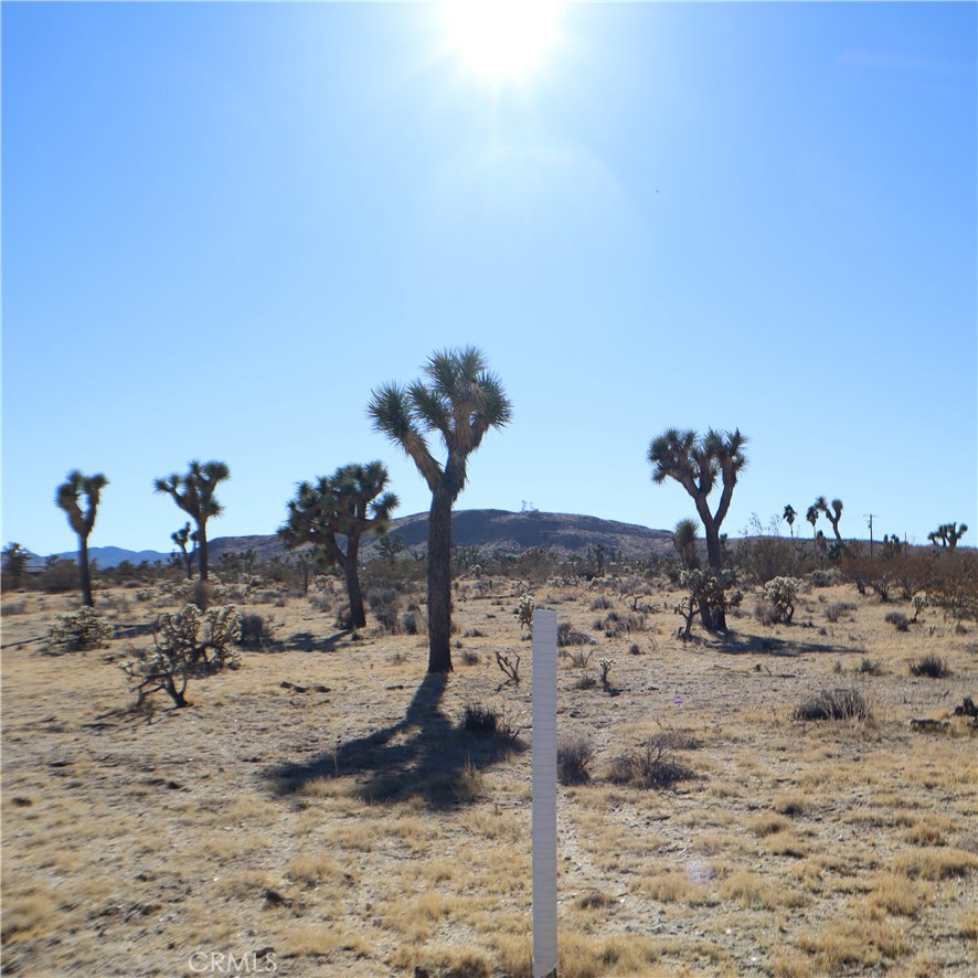 MLS #JT24229658 image #27