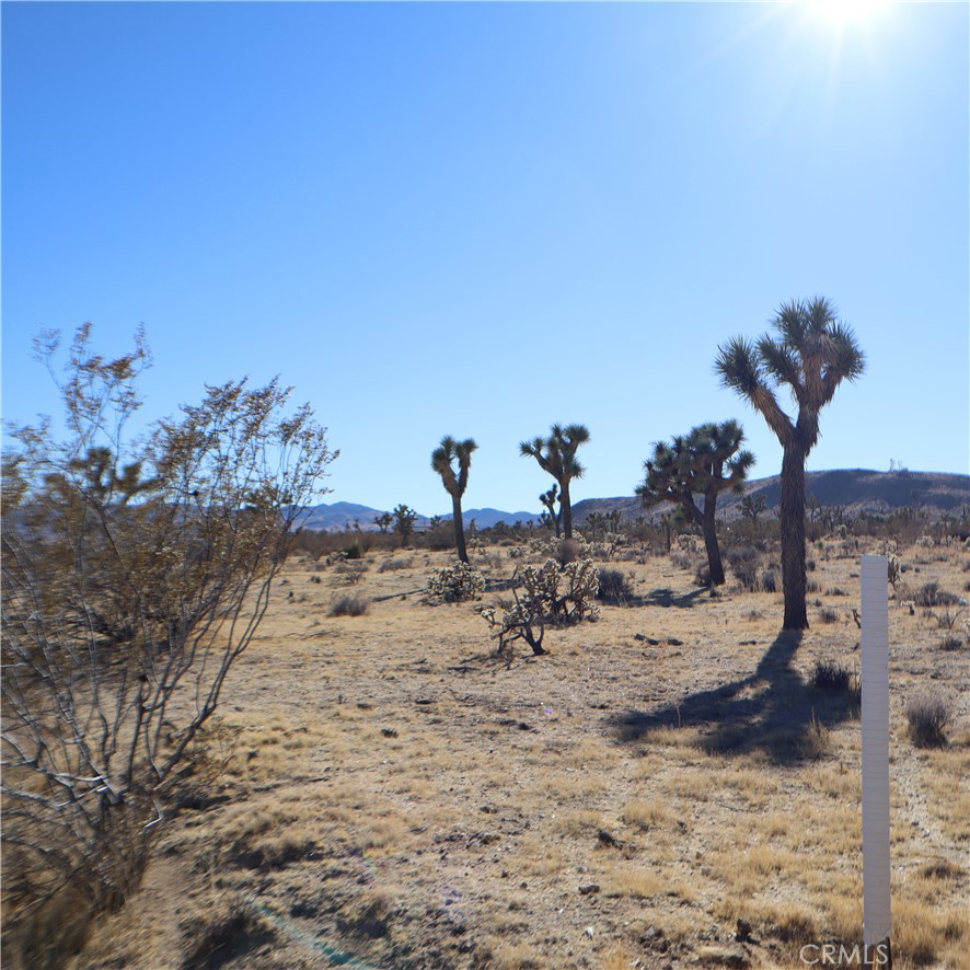 MLS #JT24229658 image #28