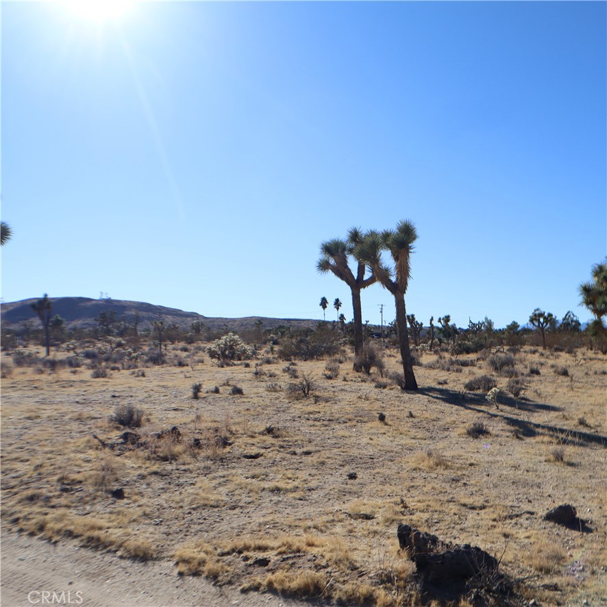 MLS #JT24229658 image #29