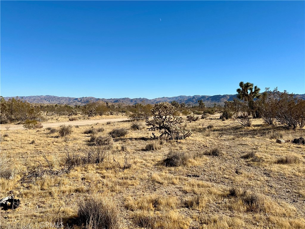 MLS #JT24229658 image #3