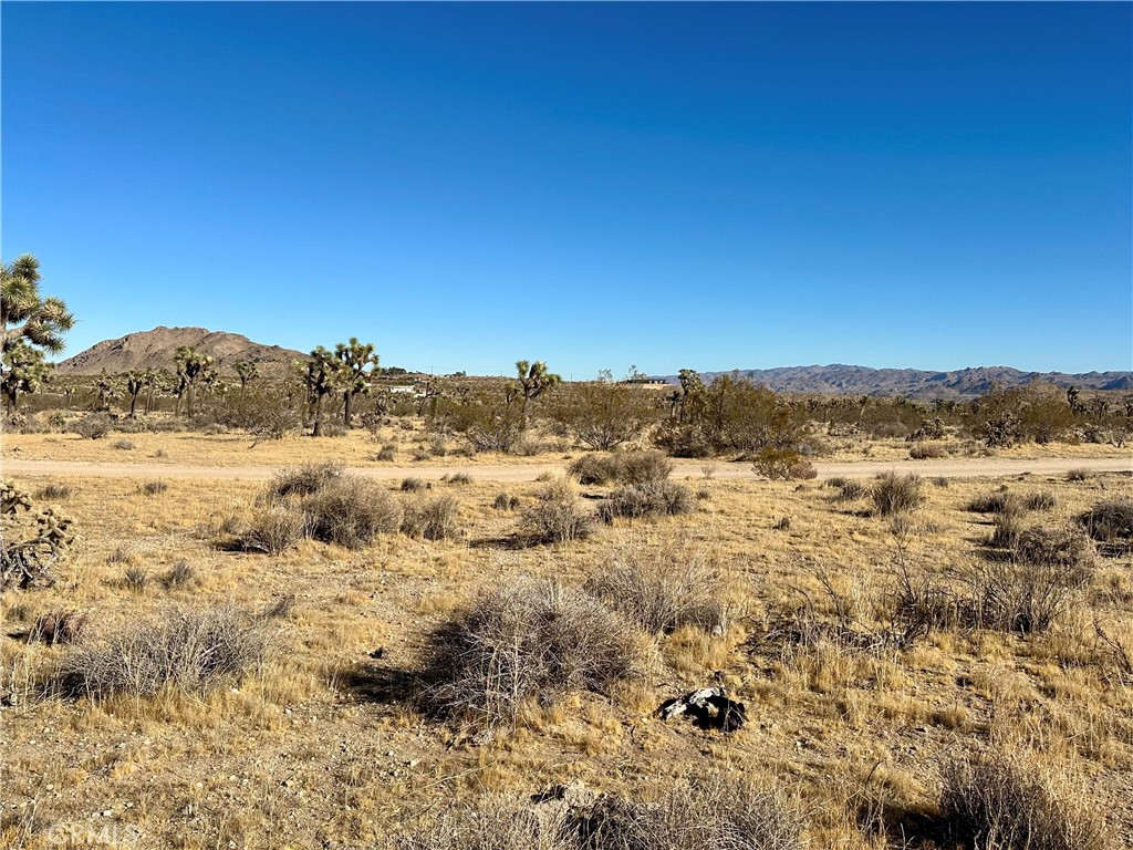 MLS #JT24229658 image #4