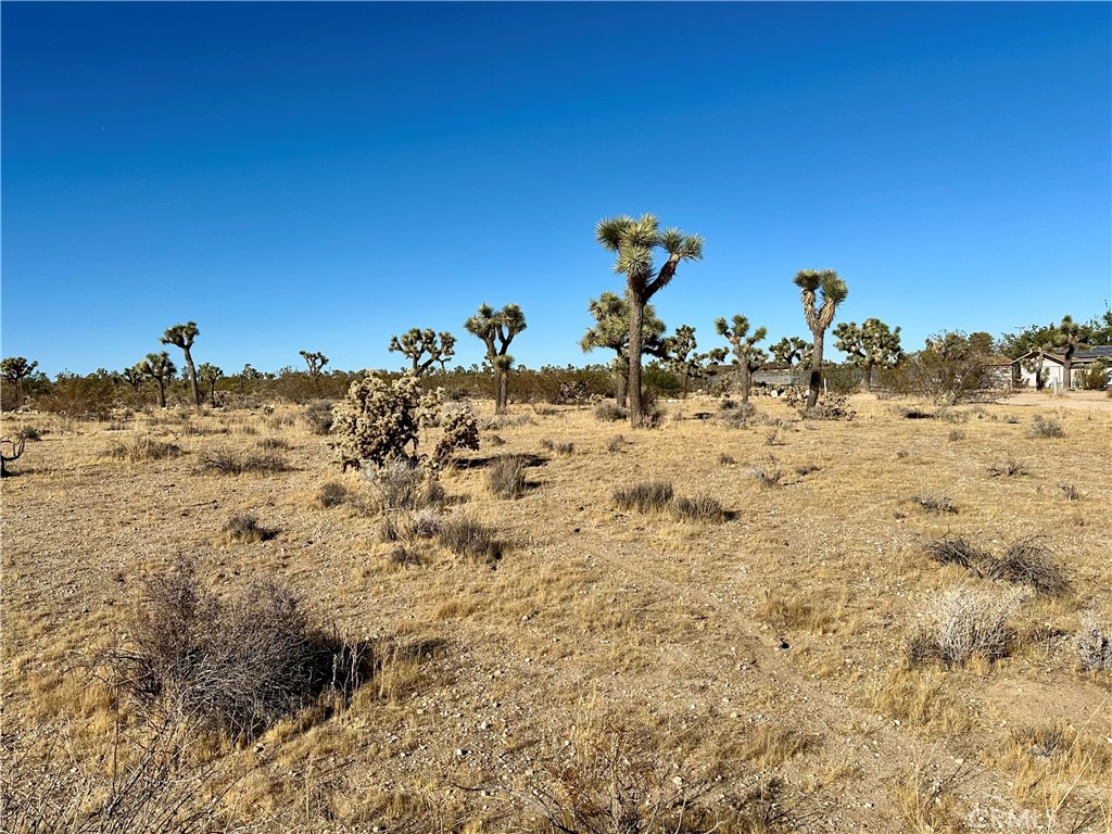 MLS #JT24229658 image #5